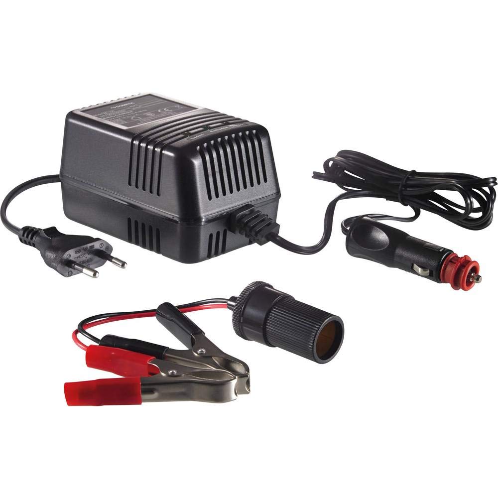 DOMETIC BC 100 Battery Conditioner, 12 V hält Batterien einsatzbereit, ideal für Motorräder, Wohnmob