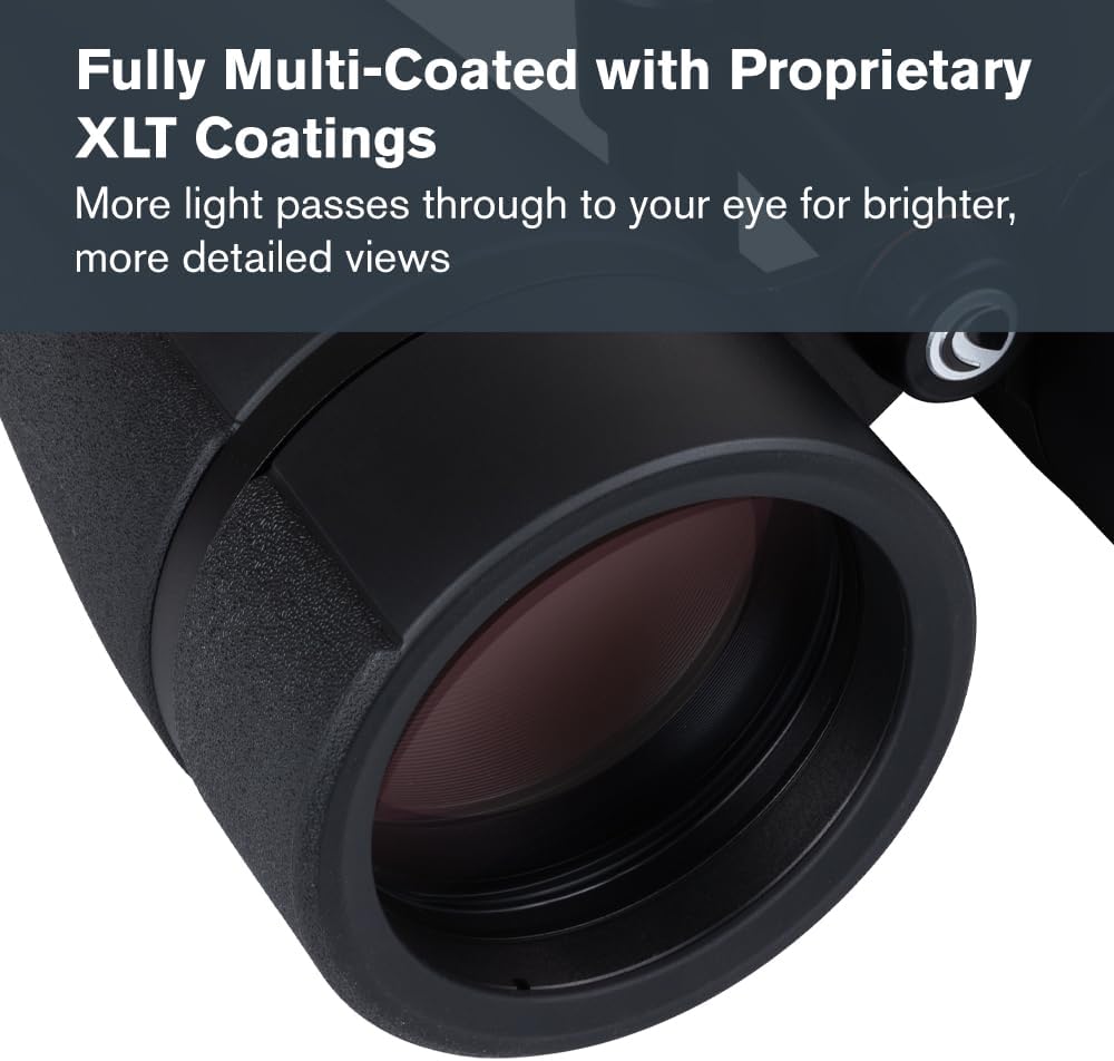 Celestron 72035 SkyMaster Pro ED 20x80 Astronomie-Fernglas mit ED-Glas und grosser Blende für Beobac