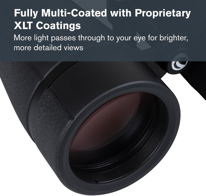 Celestron 72035 SkyMaster Pro ED 20x80 Astronomie-Fernglas mit ED-Glas und grosser Blende für Beobac