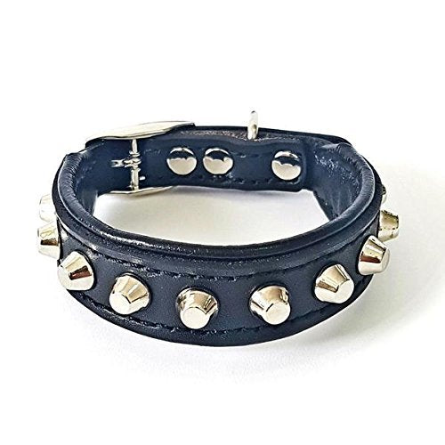 Bestia™ "Rocky Echtleder Hundehalsband mit Stumpfnieten. 100% Leder. Weich gepolstert. TOP Qualität!