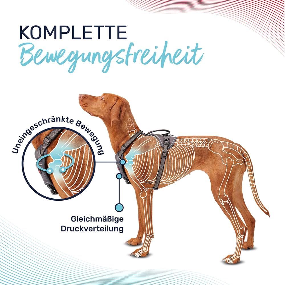 HALTI Anatomy Hundegeschirr mit Griff – Bewegungsfreiheit Hund. 3 Verbindungspunkte für die Leine, N