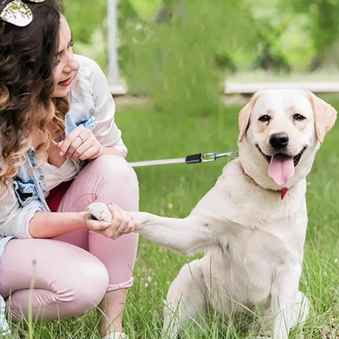 Hundeleine grosse Hunde und mittelgrosse bis 55 KG, Hundeleine 5m, Leine Hund ausziehbar und neuarti