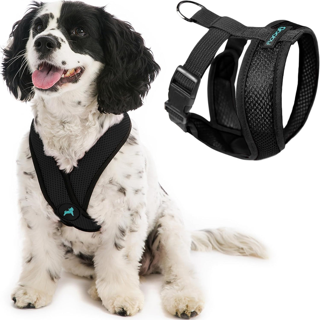 Gooby Choke Free Comfort X Hundegeschirr, weich, Grösse S, Schwarz 11.75-15.5" schwarz, 11.75-15.5"