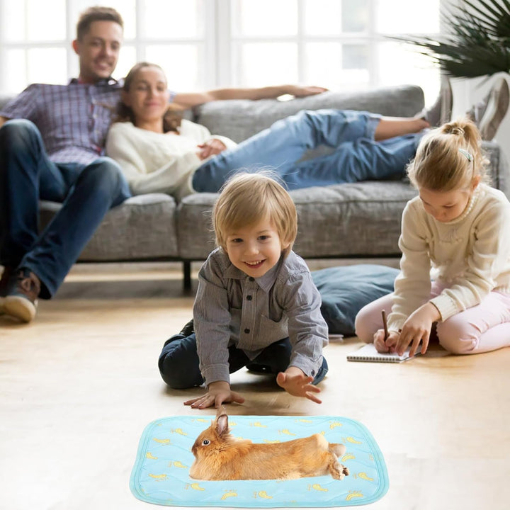 2 Stück Kühldecken für Kleintiere aus Stoff Komfortable Kühlmatten für Hamster und Kaninchen Strapaz
