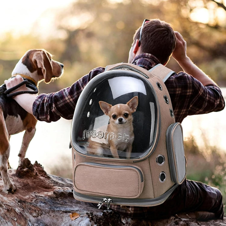 PETCUTE Haustier Rucksack,Tragbar Raumkapsel Hunde Katzen Rucksack mit Herausnehmbarer Matte,Atmungs