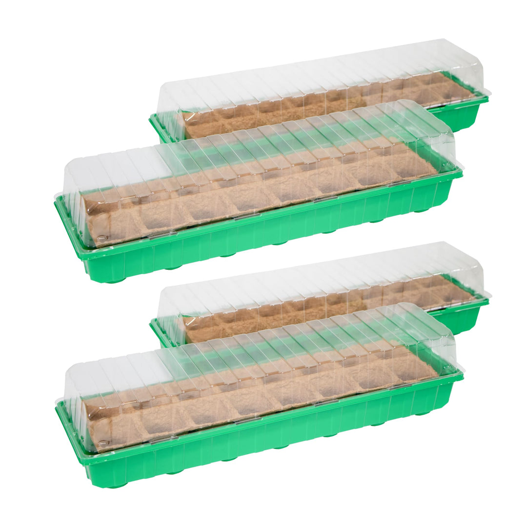 mgc24 4er Set Anzuchthaus 54x15x12cm 54 x 15 x 12 cm 4 Stück, 54 x 15 x 12 cm 4 Stück