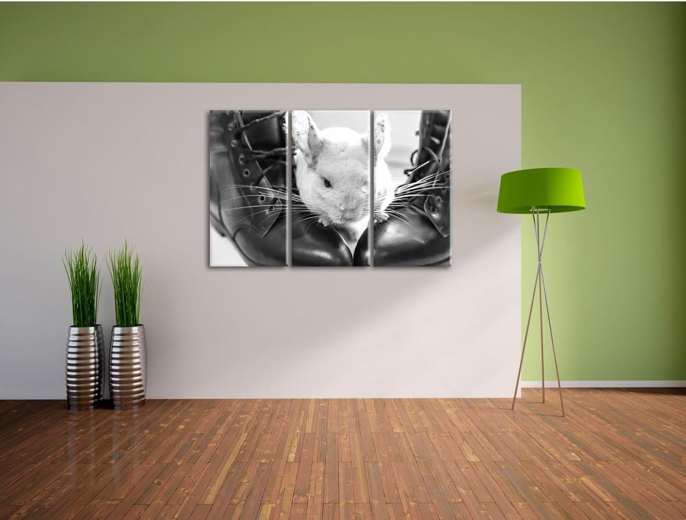 Pixxprint Chinchilla zwischen Schuhen als Leinwandbild/Grösse: 3 Teilig (120x80) cm/Wandbild/Kunstdr