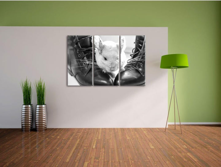 Pixxprint Chinchilla zwischen Schuhen als Leinwandbild/Grösse: 3 Teilig (120x80) cm/Wandbild/Kunstdr