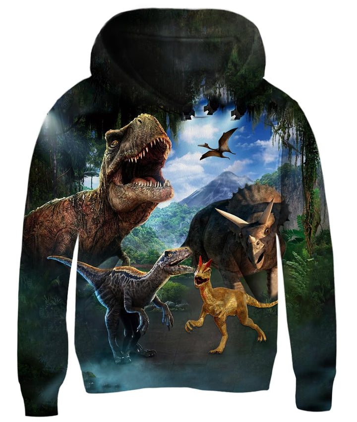 Fanient Pullover Jungen Mädchen 3D Print Fleece Hoodie Kinder Hooded Sweatshirt with Kangaroo Pocket