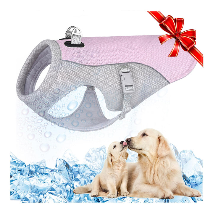 Hundekühlweste Atmungsaktives Mesh Hundejacke Sommer Cooler und Komfortabler Hundemantel Verstellbar