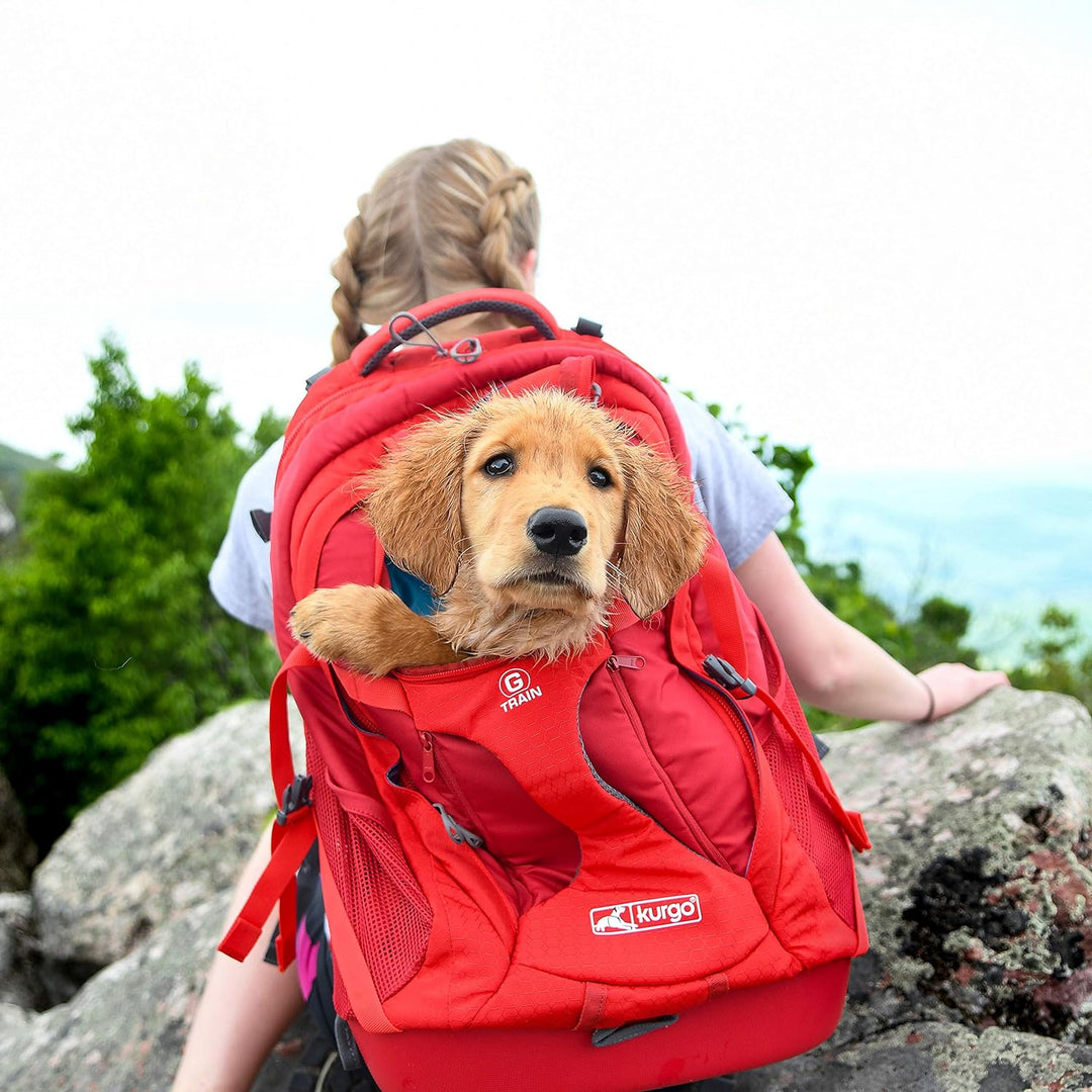 Kurgo G-Train Rucksack, Mit integriertem Hundefach, Wasserfester Boden, Mit Flaschenhaltern, Für Hau