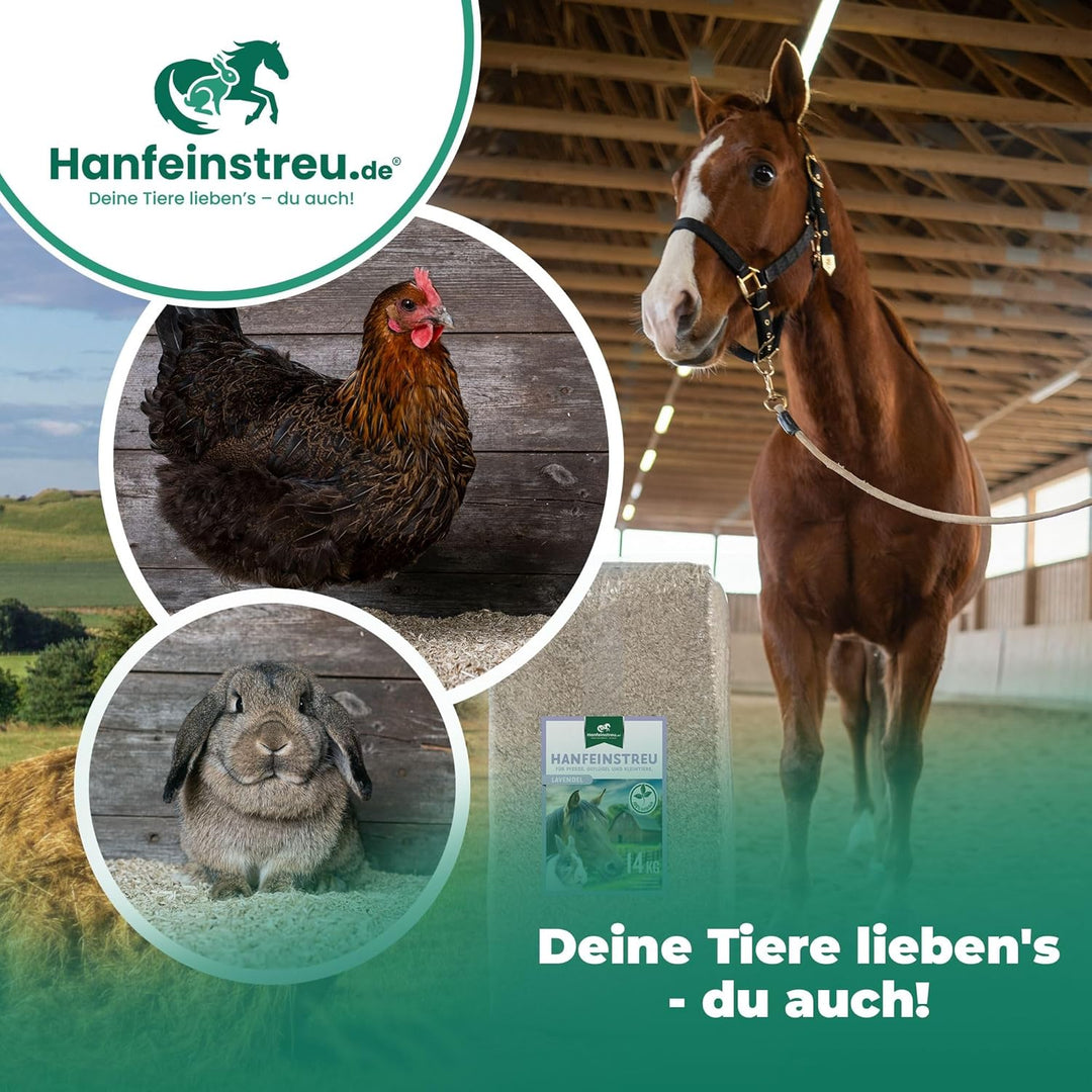 Hanfeinstreu mit Lavendel für Kleintiere, Hühner und Pferde, 30 Liter, 100% Naturprodukt, Extrem Sau