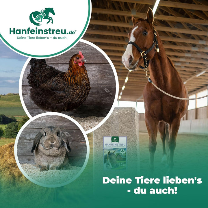 Hanfeinstreu mit Lavendel für Kleintiere, Hühner und Pferde, 30 Liter, 100% Naturprodukt, Extrem Sau