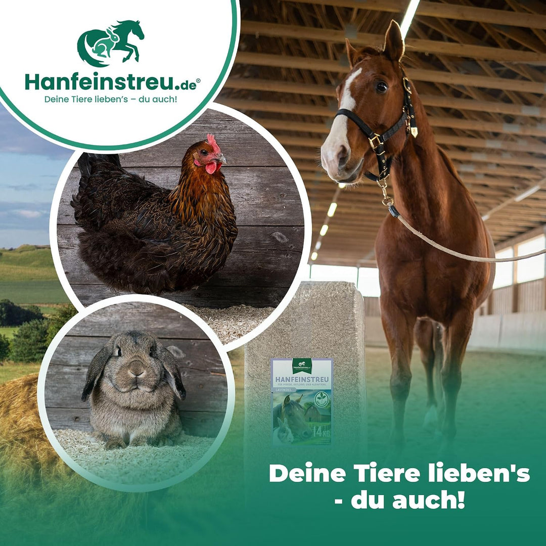 Hanfeinstreu für Kleintiere, Hühner und Pferde, 30 Liter, 100% Naturprodukt, Extrem Saugfähig, Staub