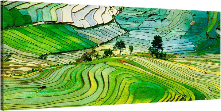 ge Bildet Bild auf Leinwand | Landschaftsbilder - Reisfelder in der Provinz Lao Cai - Vietnam K in 1
