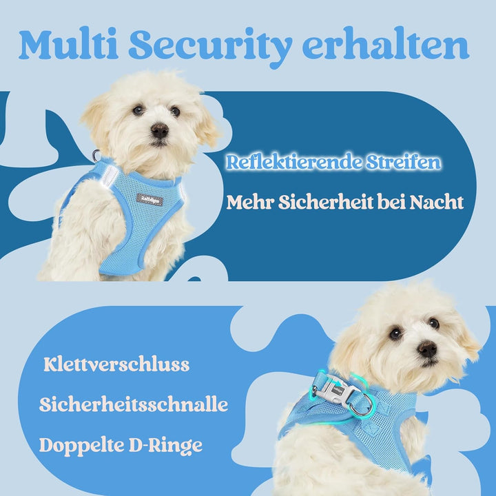 rabbitgoo Hundegeschirr Kleine Hunde, Step-in Welpengeschirr Weich Mesh für Spaziergänge, Atmungsakt