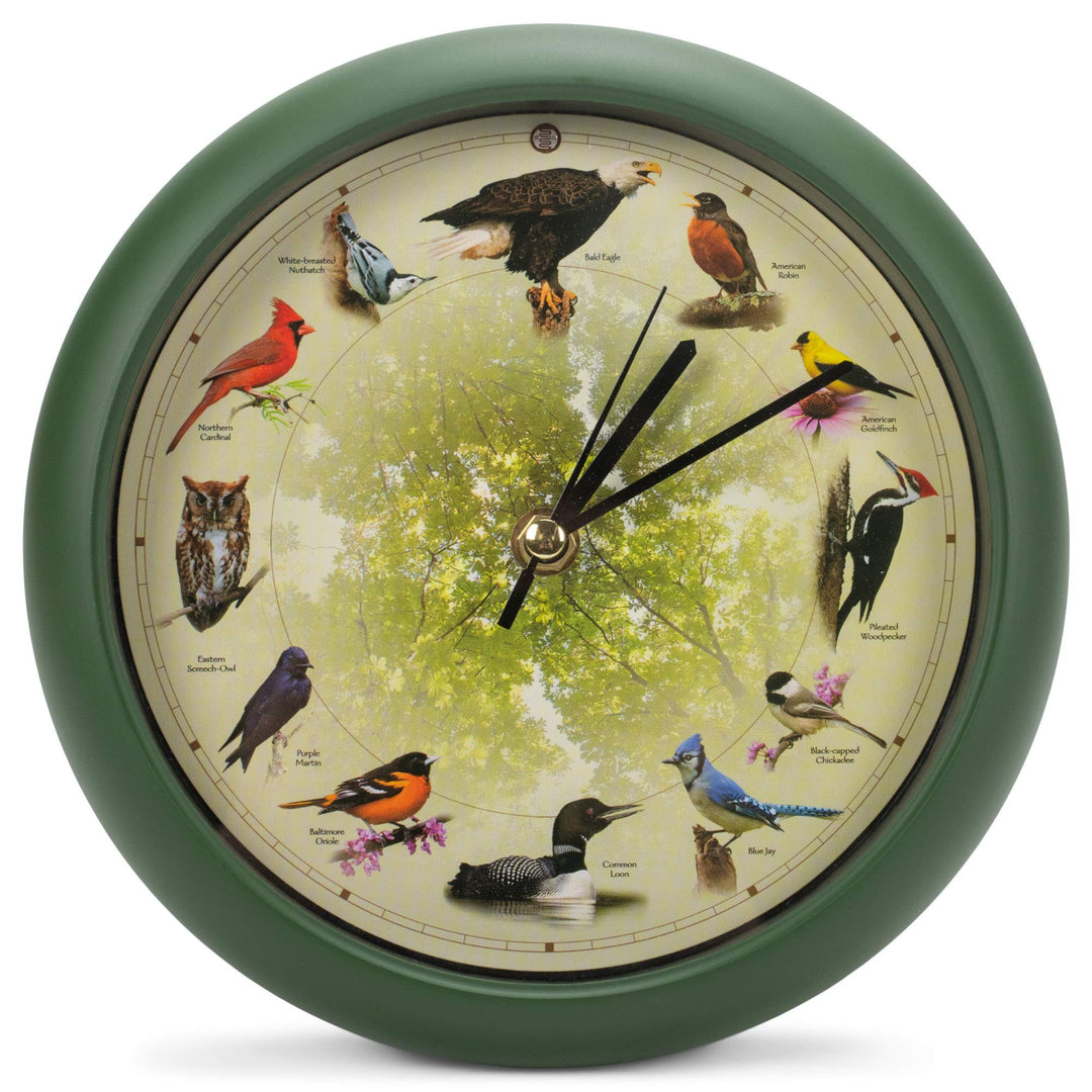 Mark Feldstein Wanduhr, Vogel, Grün 8 Inch 20th Anniversary - Green