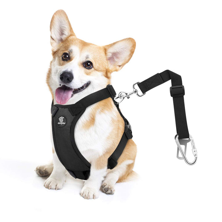 VavoPaw Hunde Autosicherheitsgurt, Hundegeschirr mit Sicherheitsgurt und Schutzgriff, Verstellbar Lu