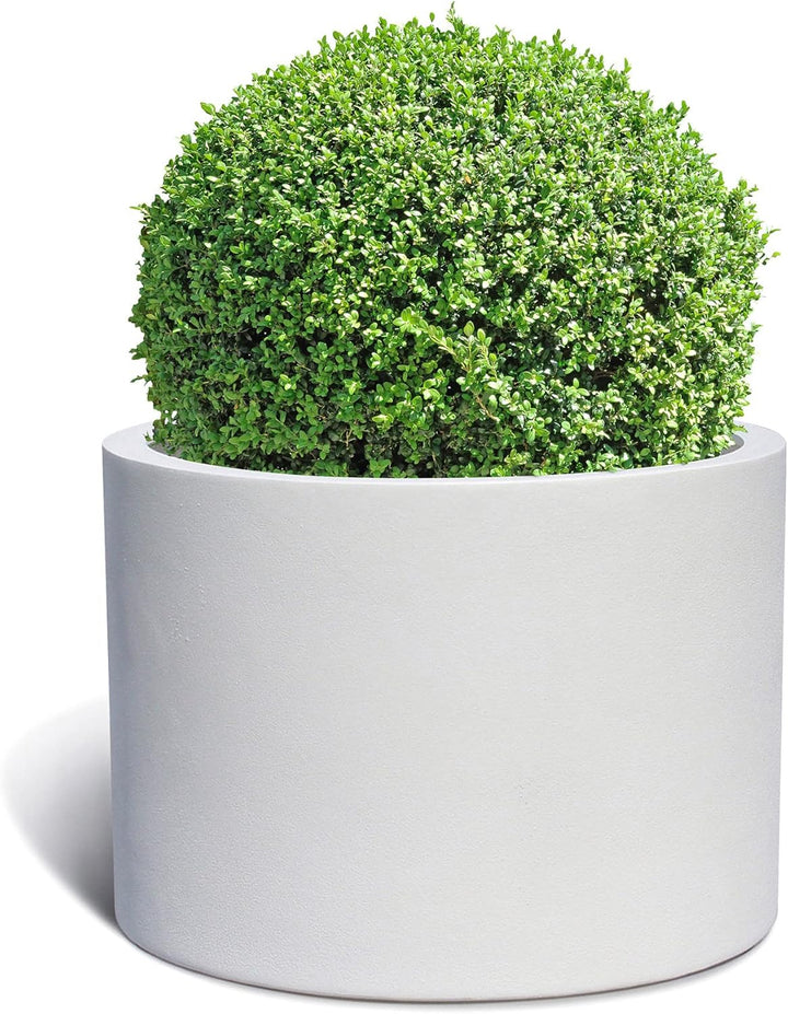 Pflanzkübel Low Cylinder 60 Weiss Rund * 60 x 60 x 41 cm * 10 Jahre Garantie