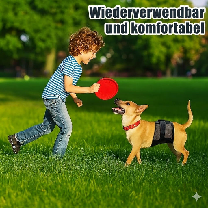 3PC Rüdenwindeln – Wiederverwendbare & waschbare Bauchbänder für Hunde, atmungsaktives Air-Mesh-Gewe