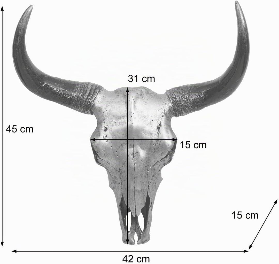 Mendler Deko Schädel 45cm HWC-T454, Polyresin Stier Bulle Longhorn Kopf Trophäe, In-/Outdoor - silbe
