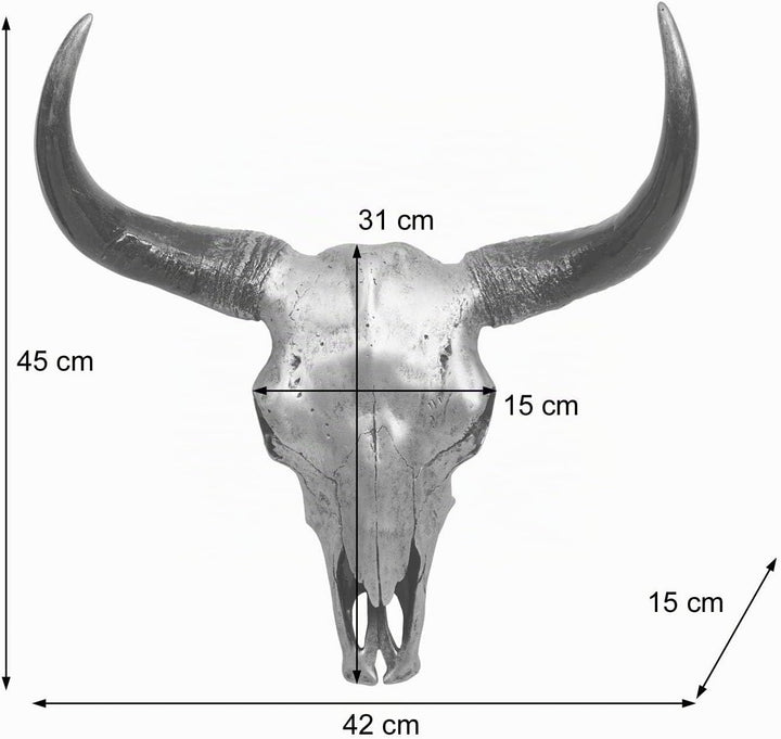 Mendler Deko Schädel 45cm HWC-T454, Polyresin Stier Bulle Longhorn Kopf Trophäe, In-/Outdoor - silbe
