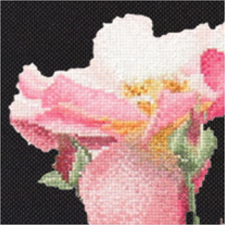 Thea Gouverneur - Kreuzstich-Set - Rosa Leersum - Aida Schwarz - 18 Count - Für Erwachsene - 412.05,
