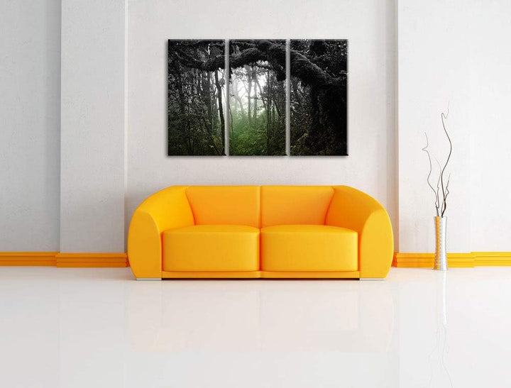 Regenwald in seiner ganzen Pracht schwarz/weiss 3-Teiler Leinwandbild 120x80 Bild auf Leinwand, XXL
