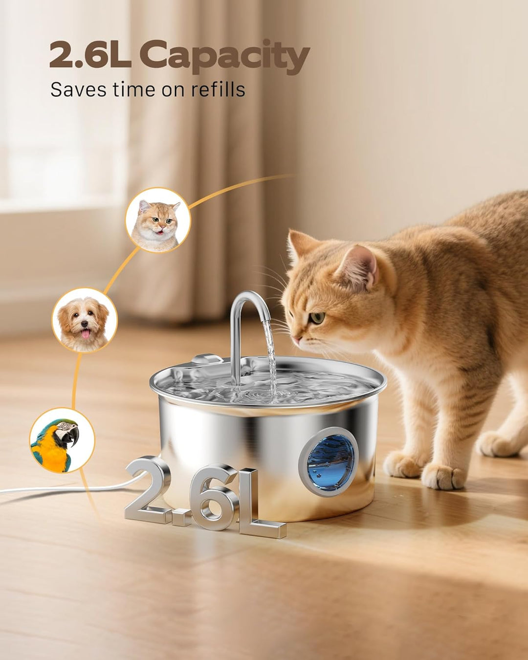 Katzenbrunnen Edelstahl Trinkbrunnen für Katze: Katzen Trinkbrunnen Leise - 2.6L Automatic Katzentri