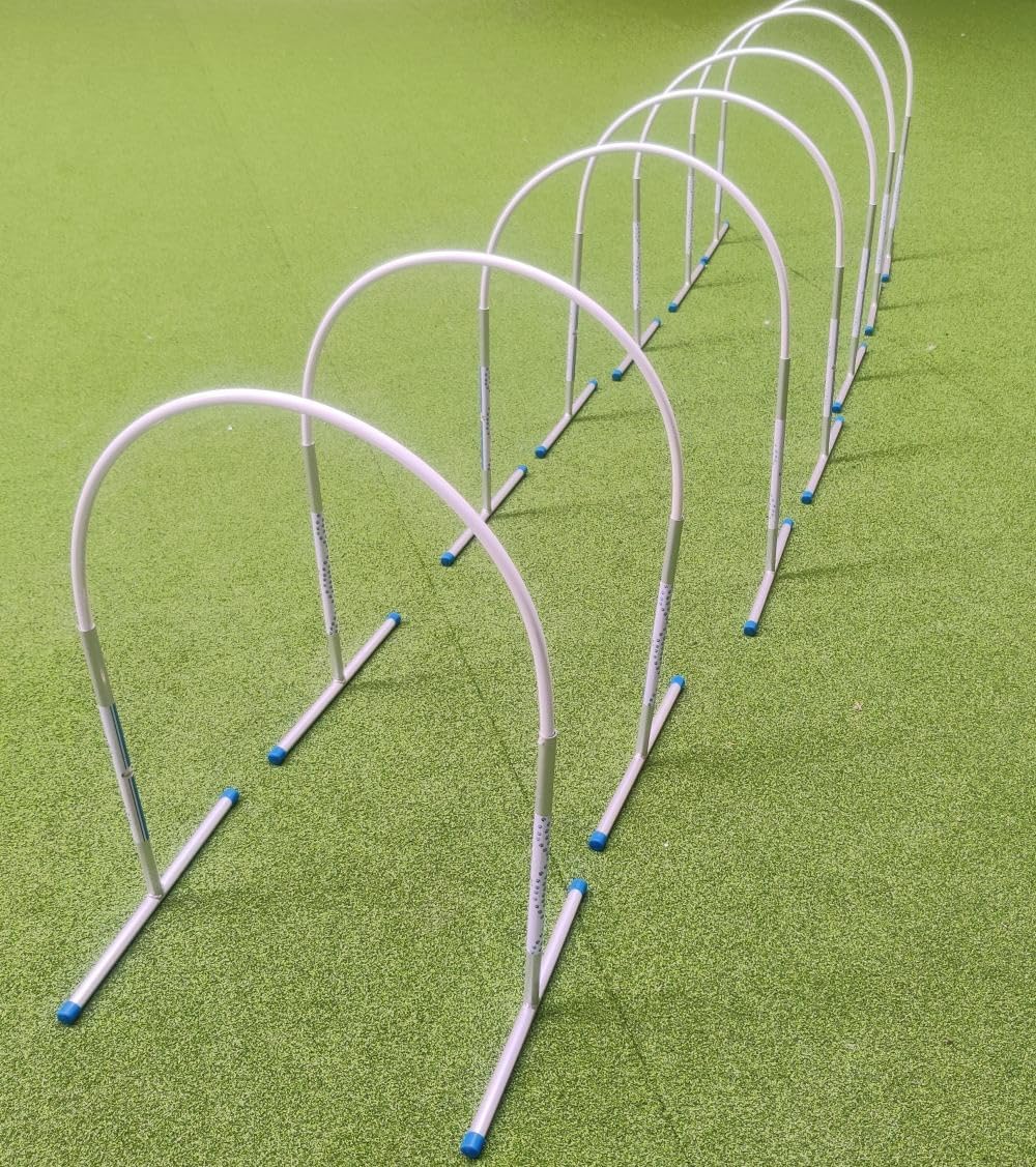 Hoopers Agility Hoops - NADAC Hoopers Agility Hoops ohne Mittelstrebe (Grosspackung) Weiss, Weiss