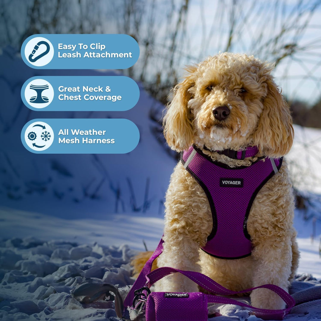 Best Pet Supplies Voyager Step-In Air Hundegeschirr – Allwetter-Netzgewebe für kleine und mittelgros