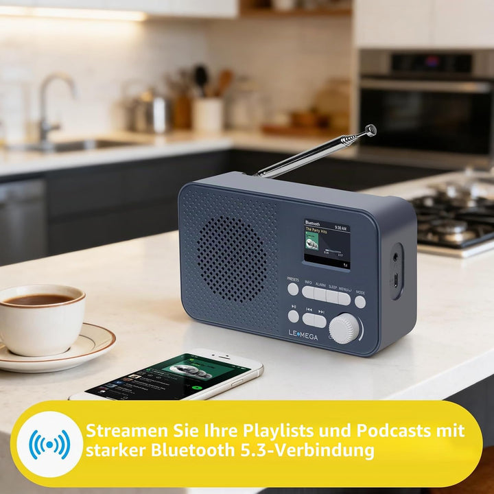 LEMEGA DAB Go DAB+/UKW Radio,Bluetooth,Farbdisplay,AA-Batterie,Dunkelgrau | Digitalradio,Doppelalarm