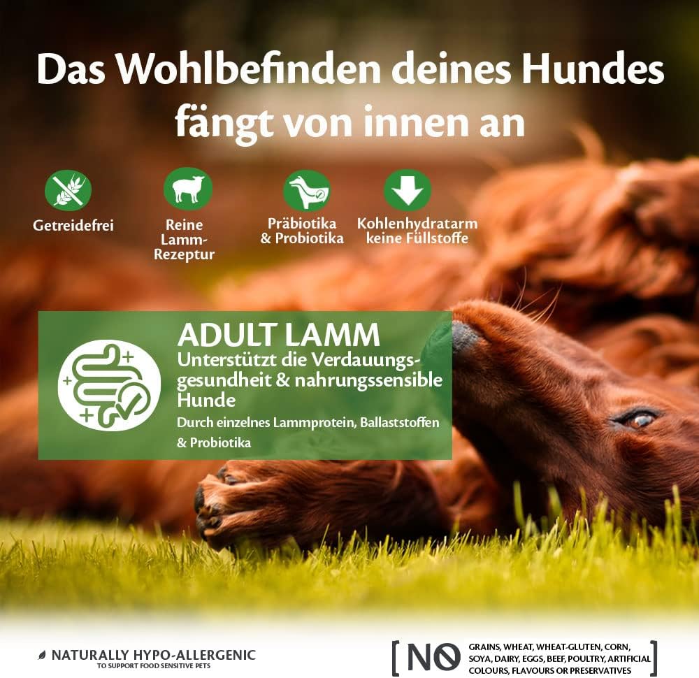 Wellness CORE Adult Lamb, Hundefutter trocken für eine gesunde Verdauung, getreidefrei, mit hohem Fl