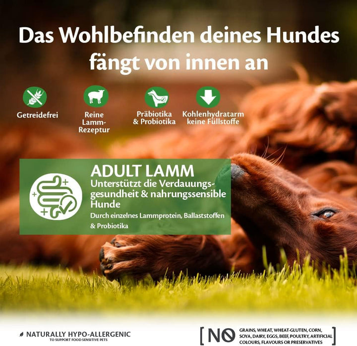Wellness CORE Adult Lamb, Hundefutter trocken für eine gesunde Verdauung, getreidefrei, mit hohem Fl