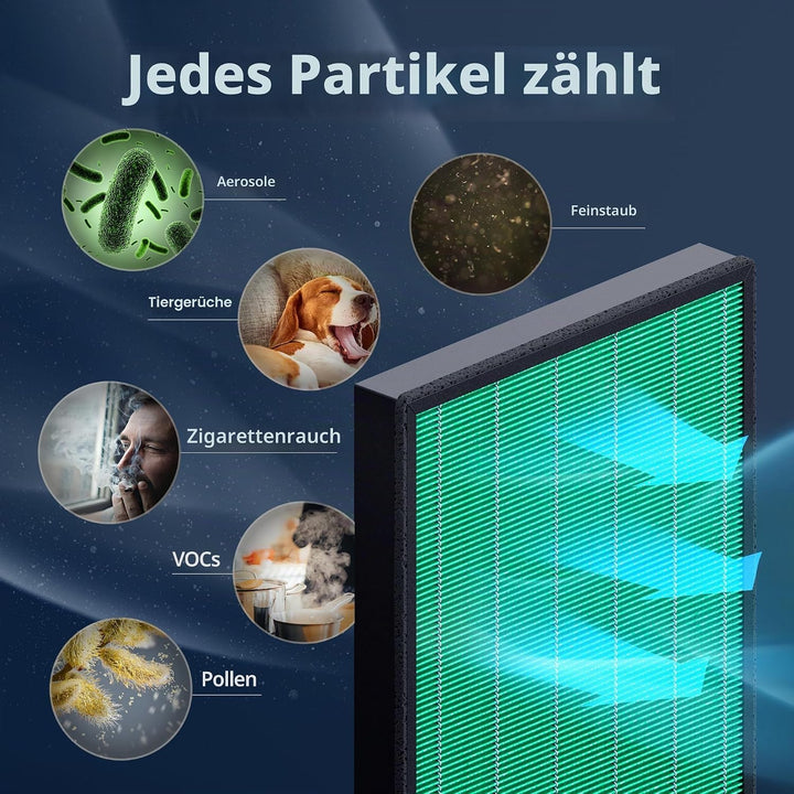 Coway Airmega 150 Luftreiniger Ersatzfilter-Set, True HEPA, Aktivkohlefilter, Schwarz, 3 Piece, 2 Fi