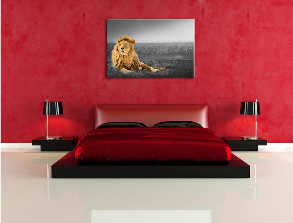 Pixxprint Majestätischer Löwe als Leinwandbild | Grösse: 100x70 cm | Wandbild| Kunstdruck | fertig b