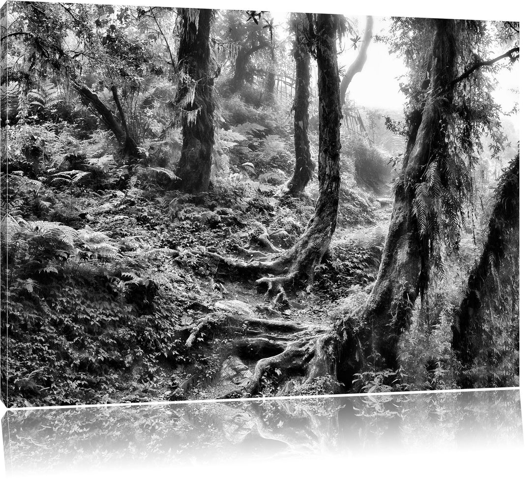 Pixxprint Unberührter Regenwald / 100x70cm Leinwandbild bespannt auf Holzrahmen/Wandbild Kunstdruck