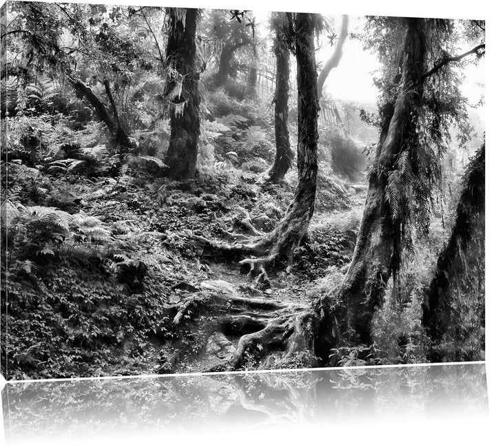 Pixxprint Unberührter Regenwald / 100x70cm Leinwandbild bespannt auf Holzrahmen/Wandbild Kunstdruck