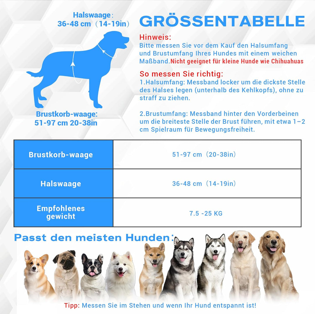 LED Hundegeschirr Set, mit 1,5m Reflektierende Hundeleine, Verstellbare Aufladbares Beleuchtetes Hun