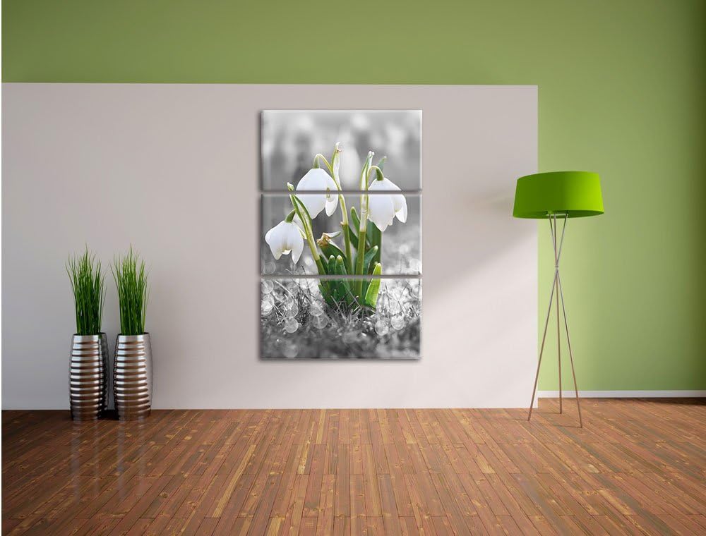 Pixxprint schöne Schneeglöckchen im Morgentau als Leinwandbild/Grösse: 3 Teilig (120x80) cm/Wandbild