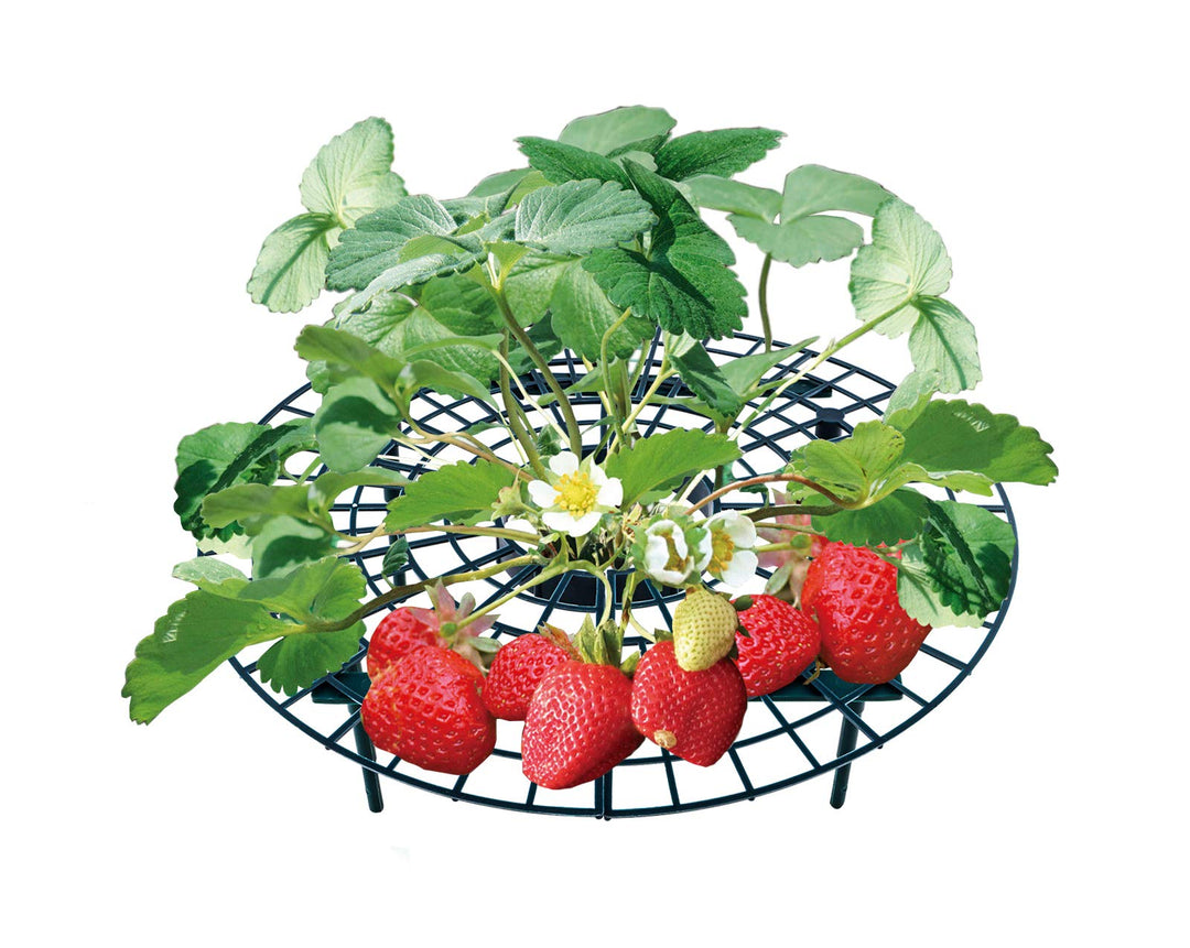UPP Erdbeerreifer Set | Einstellbarer Fruchtreifer aus Kunststoff | Rankhilfe für Erdbeeren, Gemüse