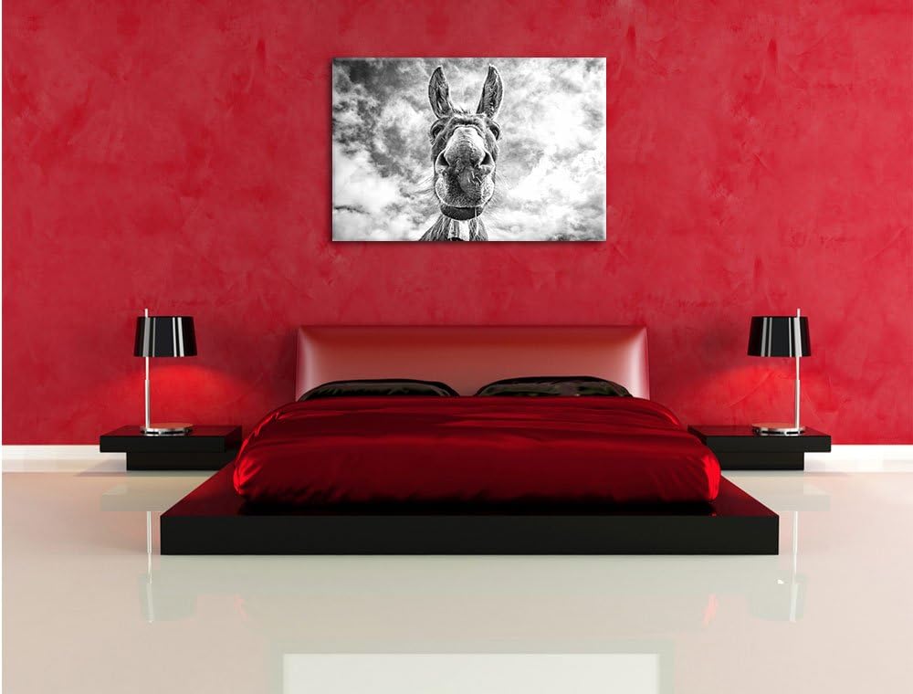 Lustiger Esel Kunst B&W, Format: 100x70 auf Leinwand, XXL riesige Bilder fertig gerahmt mit Keilrahm