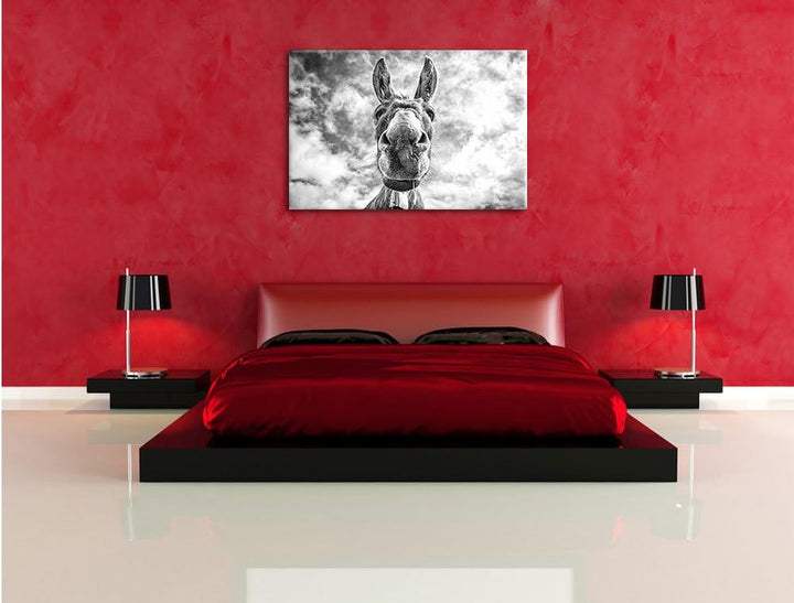 Lustiger Esel Kunst B&W, Format: 100x70 auf Leinwand, XXL riesige Bilder fertig gerahmt mit Keilrahm