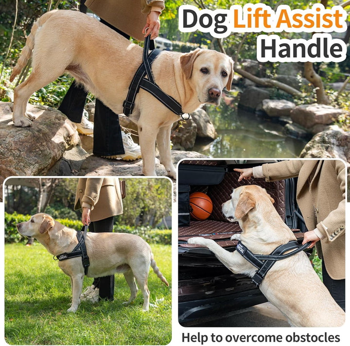 No Pull Hundegeschirr für kleine mittelgrosse Hunde, reflektierend ausbruchsicher verstellbar ohne Z