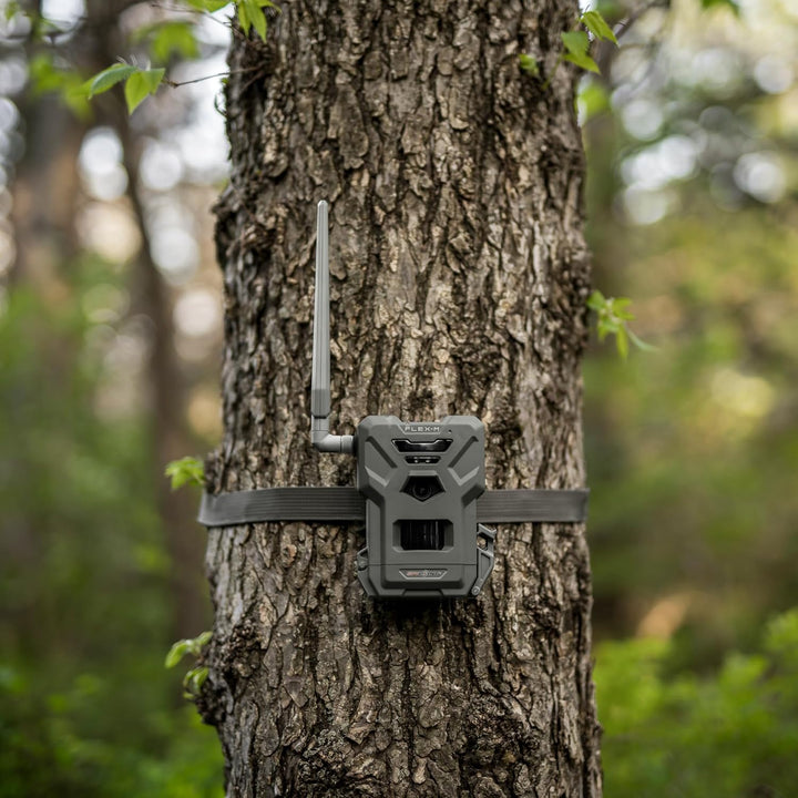 Spypoint FLEX-M - Wildkamera mit Foto- & Videoübertragung, 28 Megapixel, Wildtierkamera mit Nachtsic