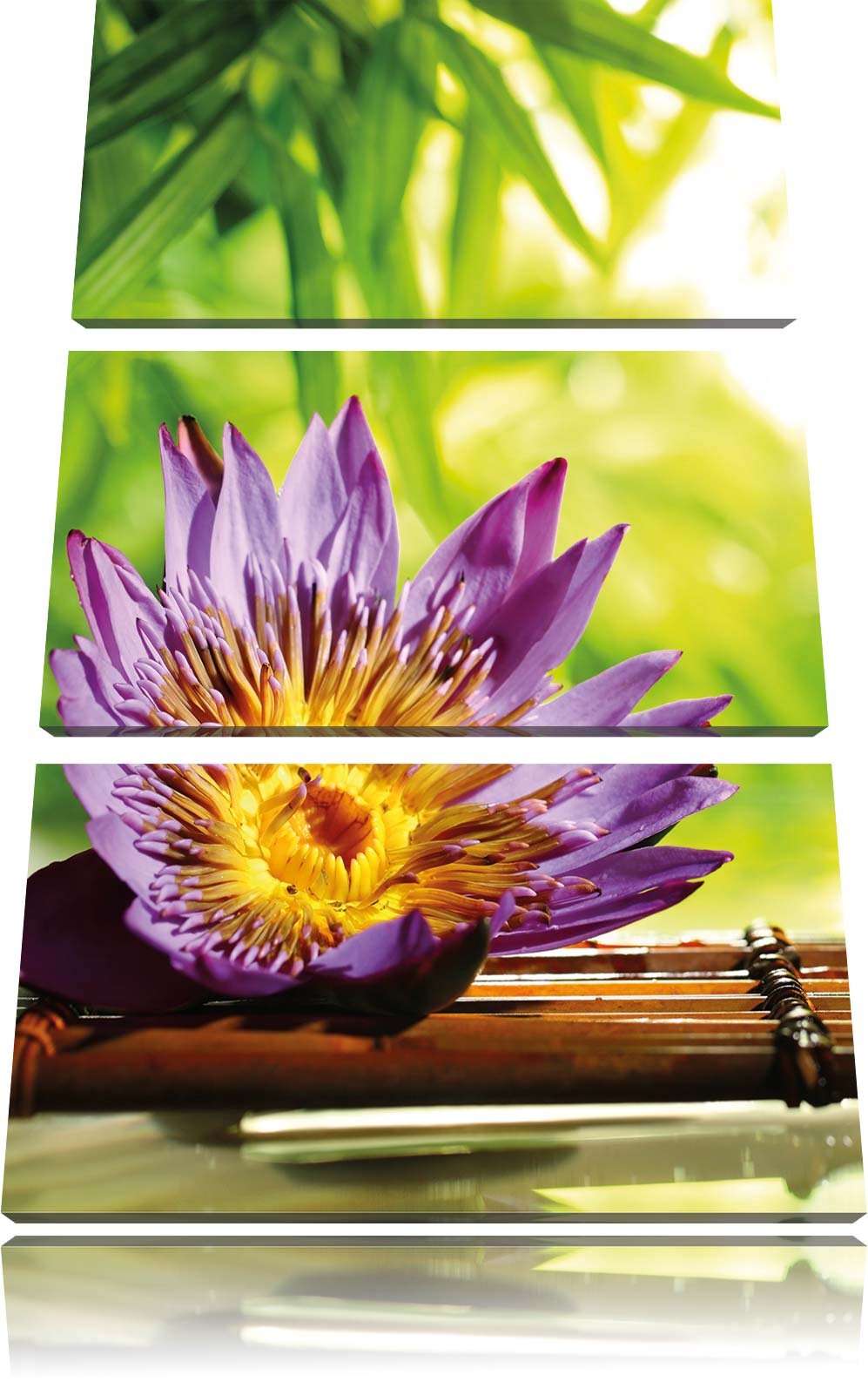 Pixxprint Seerose auf Bambus Wellness 3-Teiler Leinwandbild 120x80 Bild auf Leinwand
