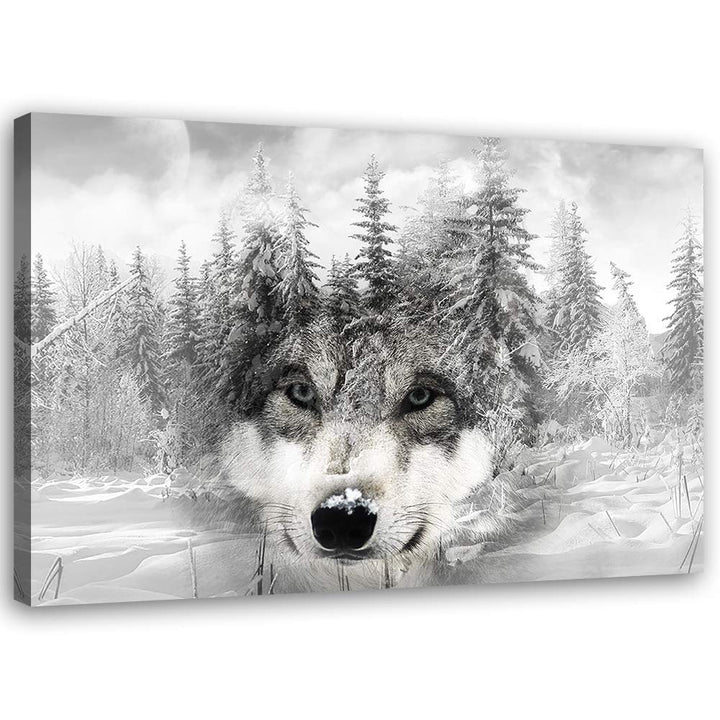 Feeby Leinwandbild XXL Wolf Wandbild Kunst Winter Weiss 120x80 cm Leinwandbild 120x80 cm Weiss_b, Le