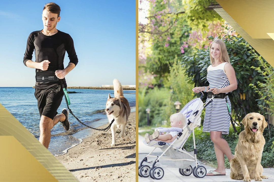 Joggingleine für Hunde zum Laufen, Joggen, Wandern | 2 in 1 Joggingleine und Normale Hundeleine für