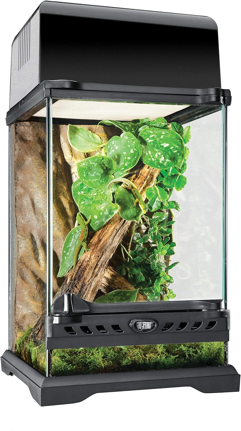 Exo Terra Terrarium aus Glas, mit einzigartiger Front Belüftung, 20 x 20 x 30cm & Trixie 76113 Therm