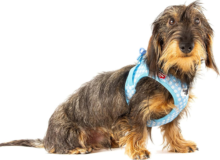 Vest Harness curli Clasp Air-Mesh SkyBlue-Circles 3XS & Leash M, Skyblue-Circles 3XS
